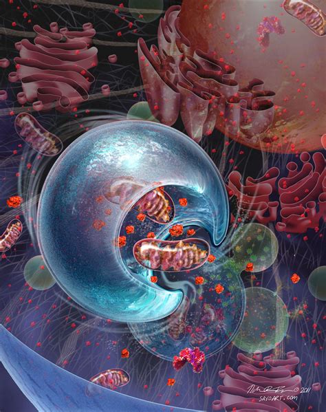 Inside Cells Molecular Biology And Biochemistry On Behance