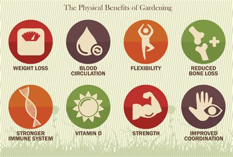 The Health Benefits Of Gardening He And She Fitness