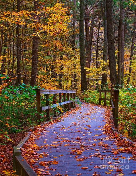 Autumn Trail By Nick Zelinsky Jr In 2021 Autumn Scenery Scenery