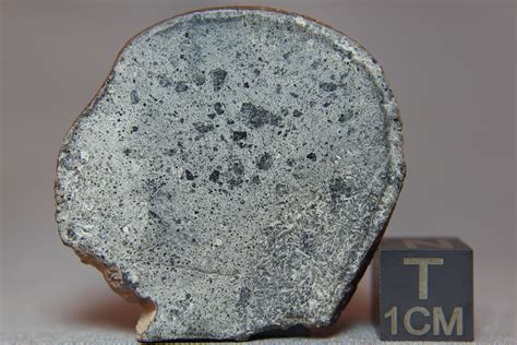 Nwa 8675 Hed Ecurite Achondrite Meteorite From Asteroid Vesta Nwa
