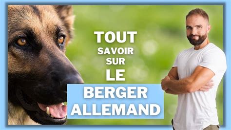 Vidéo Tout Savoir Sur Le Berger Allemand Esprit Dog