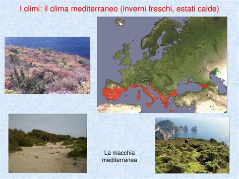 Ppt Geografia Climi E Ambienti Europei Powerpoint Presentation Free
