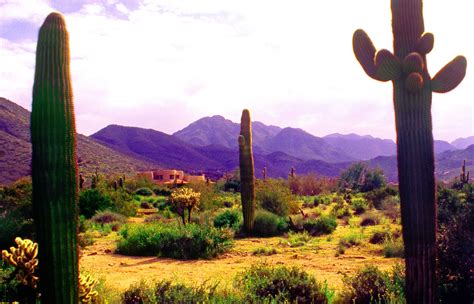 Southwest Desert Travel Tips Scottsdale Arizona Guide Vogue