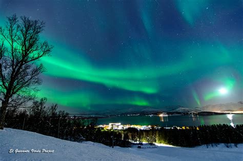 Tromsø El Reino De La Aurora Boreal En Noruega El Guisante Verde