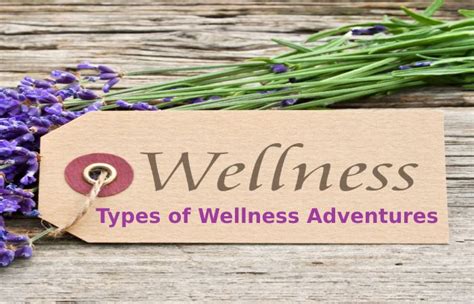 Wellness Adventures The Rise Of Healthiness And Fitness Holidays