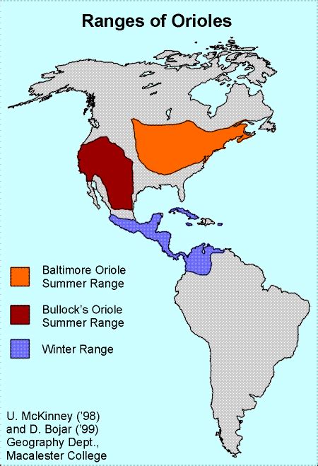 Baltimore Oriole Migration Map Us States On Map