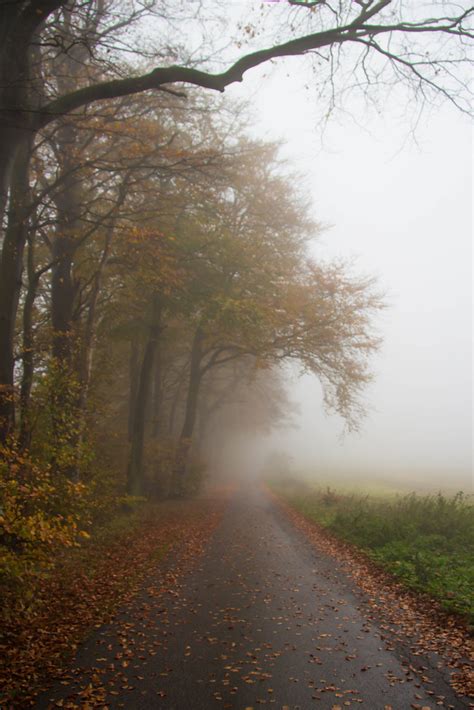 How To Get The Best Photographs In Foggy Conditions Light Stalking
