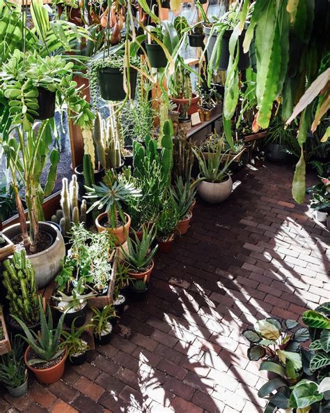 Decorate your laptops, water bottles, helmets, and cars. Featured Shop: Pistils Nursery | Plants, Garden shop ...