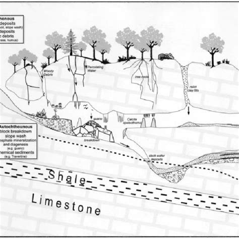 Generalized Cross Section Of A Cave System Illustrating Various Types