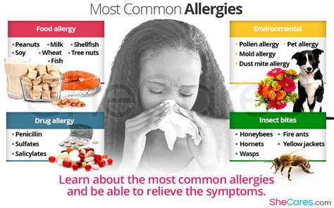 What Causes Allergies To Develop Know Your Allergy