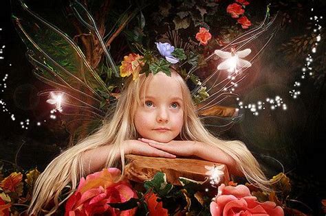 real life fairy wings gallery fairy photography real life fairies fairies photos