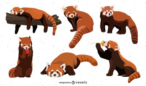 Cute Flat Red Panda Set Vector Download