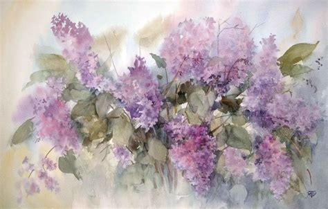 Wallpaper Figure Picture Watercolor Painting Lilac Spring Flowers