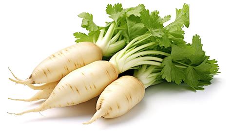 Comprar Nabo Daikon Distribuidores De Frutas Y Verduras En Hospitalet