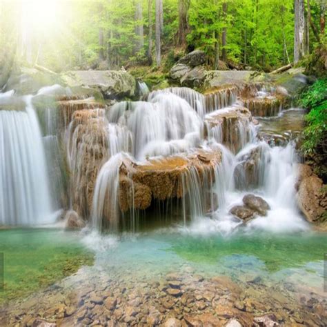 Buy Hd Mural Nature Forest Waterfall Photo Wallpaper