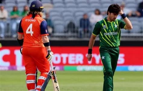 ٹی ٹوئنٹی ورلڈ کپ پاکستان نے نیدرلینڈز کو 6 وکٹوں سے شکست دے دی