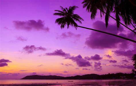 Purple Tropical Sunset Beach Wallpapers Top Free Purple Tropical