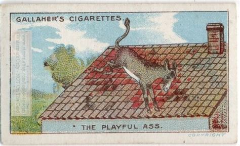 The Playful Ass Aesops Fable Moral Story 1920s Ad Trade Card Ebay