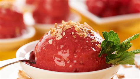 Sugar Free Coconut Raspberry Sorbet — Recipes —