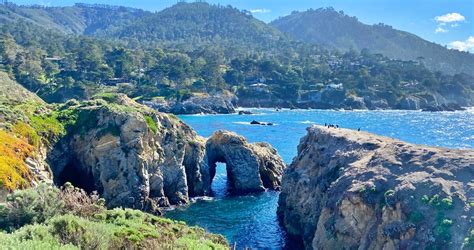 Point Lobos Vs Big Sur Which One Should You Visit