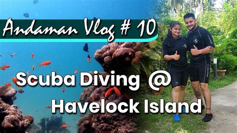 Scuba Diving In Andaman Havelock Island 2022 Youtube
