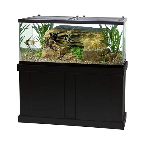 12 Best 55 Gallon Fish Tank And Aquarium Kits Reviews 2020