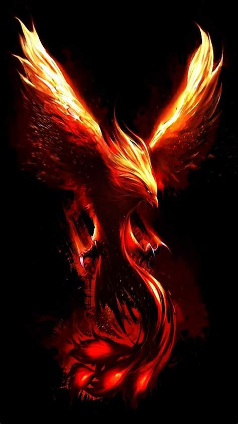Dark Phoenix Bird Gambar Phoenix Dark Phoenix