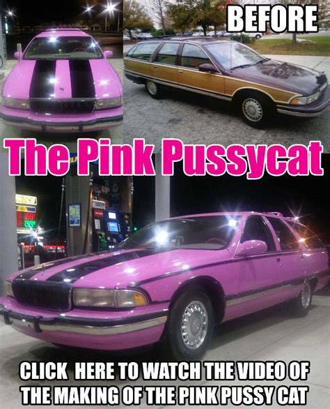 The Pink Pussy Cat