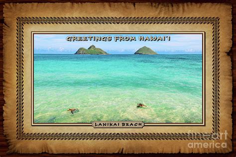 Lanikai Beach Two Sea Turtles And Two Mokes Hawaiian Style Postcard