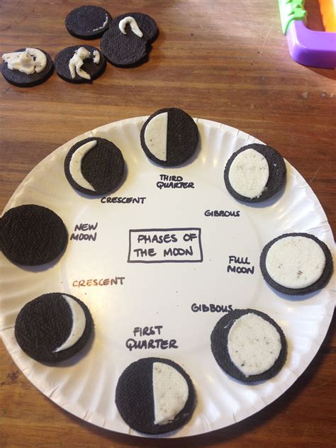 The Phases Of The Moon Using Oreos Success And What A Fun Project