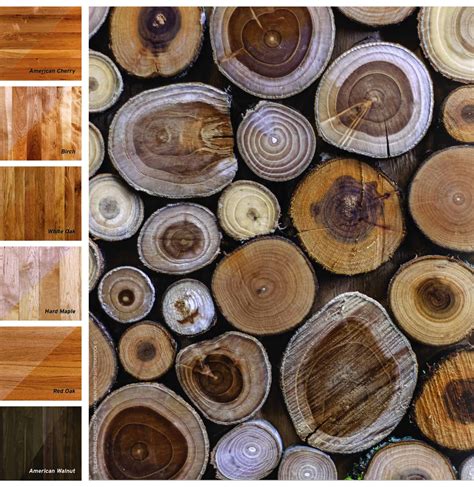 Wood Species A200 Updated And Upgraded Hardwood Floors Magazine