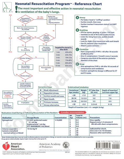 Printable Nrp Algorithm Web The 2020 Neonatal Resuscitation Guidelines