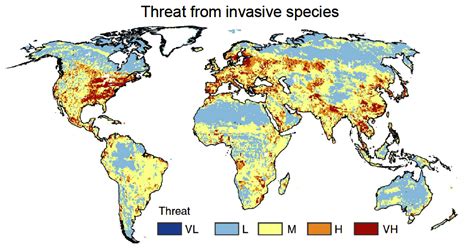 Invasive Species Mini Presentation