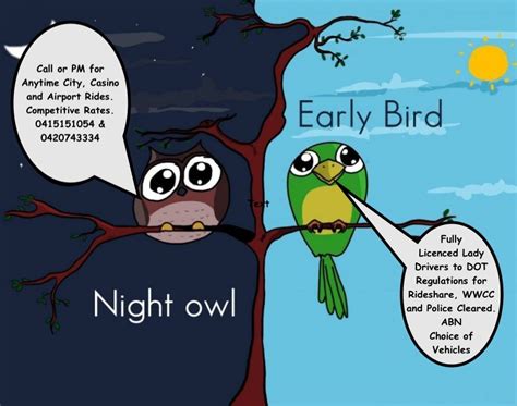 Night Owls And Early Birds