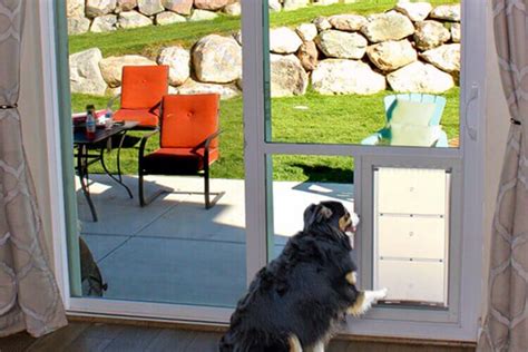 Sliding Glass Door With Dog Built In Utah Glass Designs