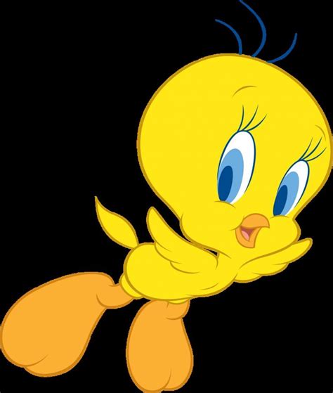 Tweety Bird Cartoon Pictures Tweety Bird Cute Picture