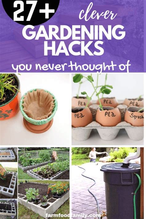 27 clever gardening hacks and tricks that you never thought of creative gardening gardening