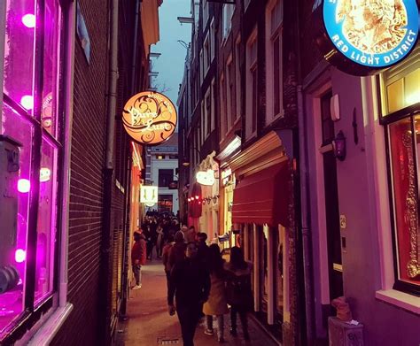 Get The Story Behind The Windows Of Amsterdams Red Light District Red Light District