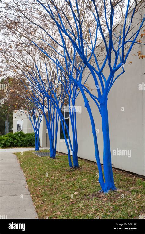 Blue Trees By Konstantin Dimopoulos Stock Photo Alamy