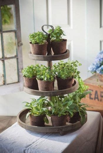 25 Ways To Start An Indoor Herb Garden 小さなガーデニング 室内で育てる