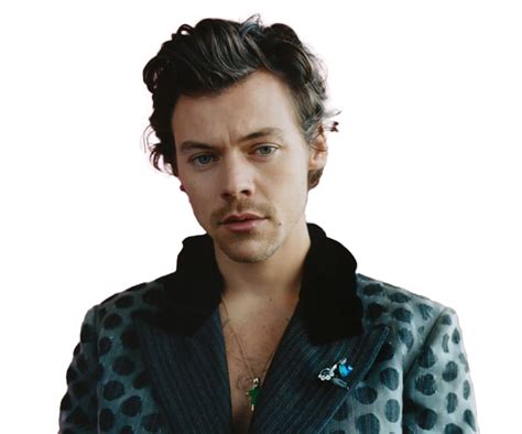 Harry Edward Styles Png Clipart Png All Png All