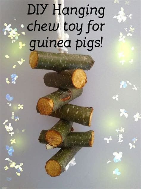 Pin On Guinea Pig Toys And Natural Homemade Accessories