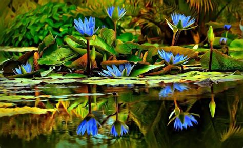 Lily Pondphoto By Ray Bilcliff Lily Pond Water Lilies Lily