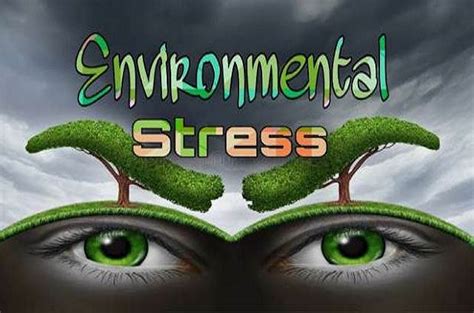 Environmental Stress In Psychology How Environmental Stressors Affect