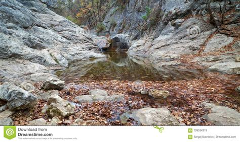 Cascades On A Clear Creek In A Forest Stock Image Image Of