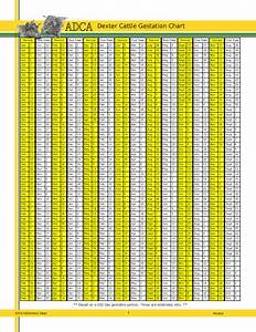 Cattle Gestation Chart Fill Online Printable Fillable Blank