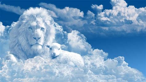 Jesus The Lion And The Lamb Faithsearch International