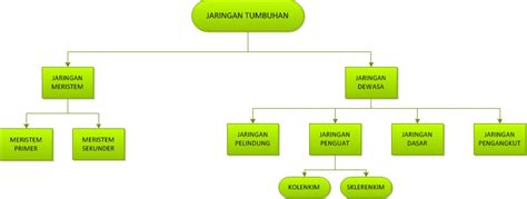 Kirimkan ini lewat email blogthis! i'm is winner: MATERI STRUKTUR DAN FUNGSI JARINGAN TUMBUHAN