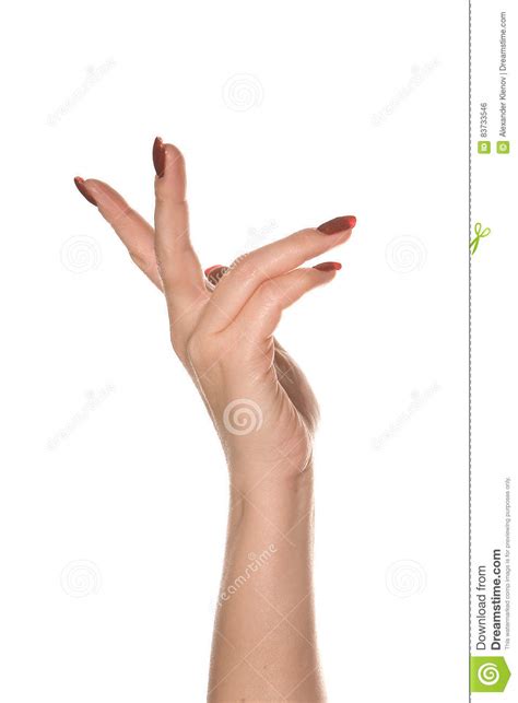 Gesturing Female Hand Stock Photo Image Of Finger Accessibility