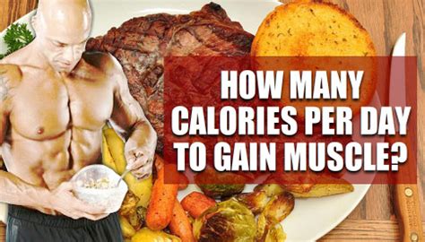 How to calculate calories for weight loss. How Many Calories To Gain Muscle Per Day?